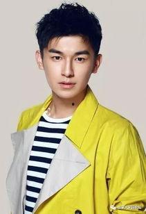 最新娱乐大爆料杨旭文,娱乐界再掀波澜!